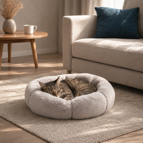 Chat tigré endormi dans un petit coussin gris doux et moelleux, posé sur un tapis dans un salon lumineux et apaisant.