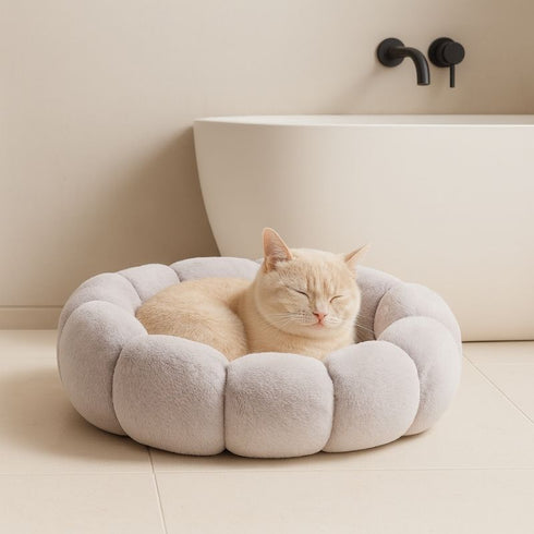 Chat beige endormi sur un petit coussin gris clair, installé dans une salle de bain minimaliste.