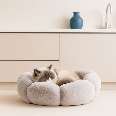 Chat endormi dans un petit coussin pour chat gris en peluche, confortable et adapté aux intérieurs cocooning.