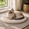 Tapis apaisant rond pour chat en peluche crème avec chat aux yeux bleus installé près d’une fenêtre dans une ambiance douce et relaxante