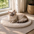 Tapis apaisant rond pour chat en peluche crème avec chat aux yeux bleus installé près d’une fenêtre dans une ambiance douce et relaxante