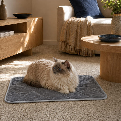 Tapis auto chauffant pour chat gris matelassé avec chat aux yeux bleus allongé dans un salon chaleureux et lumineux