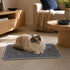 Tapis auto chauffant pour chat gris matelassé avec chat aux yeux bleus allongé dans un salon chaleureux et lumineux