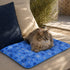 Chat allongé sur un tapis fraîcheur bleu à motifs flocons dans un espace extérieur lumineux pour garder une sensation de fraîcheur en été