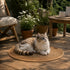 Chat allongé sur un tapis griffoir rond en jute beige sur une terrasse en bois, idéal pour le repos et l’entretien des griffes du chat.