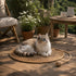 Tapis griffoir rond pour chat en fibres naturelles avec jouet corde intégré, utilisé sur une terrasse extérieure ensoleillée