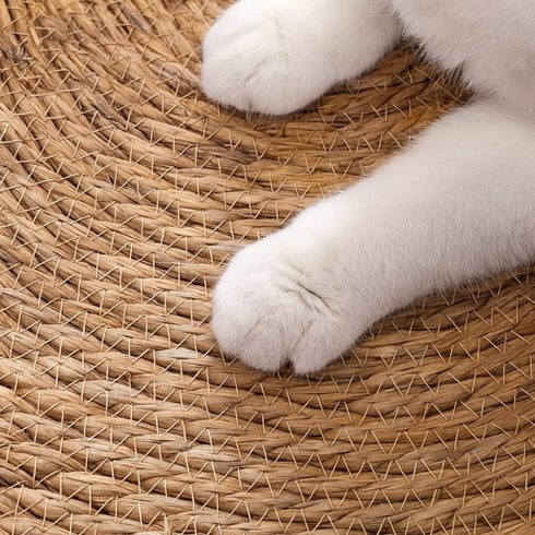 Détail du tressage du tapis griffoir en corde beige pour chat