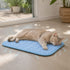 Chat endormi sur un tapis rafraîchissant pour chat bleu avec effet de dissipation thermique illustré, offrant une sensation de fraîcheur durable et un confort optimal.