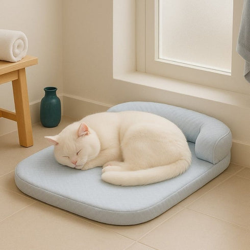 Chat blanc endormi sur un tapis rafraîchissant gris en tissu, posé au sol près d’une fenêtre
