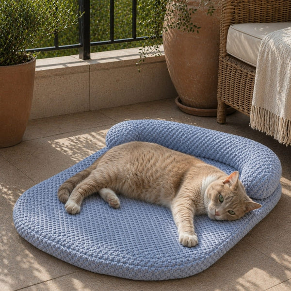Chat allongé sur un tapis de refroidissement pour chat bleu sur une terrasse ensoleillée, profitant d'un couchage frais et respirant pour se détendre.