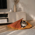 Tapis de sol pour chat en velours orange avec rabat cocoon et chat tigré installé dans un salon chaleureux et lumineux