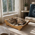 Chat détendu sur un transat pour chat en bois avec toile en corde, couchage confortable près d’une fenêtre lumineuse.