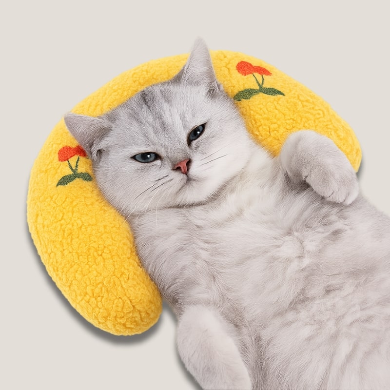 Propre En un Clin d'Œil